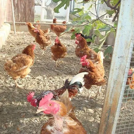 Cortijo El Llano Almería