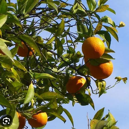 Cortijo El Llano * Almería