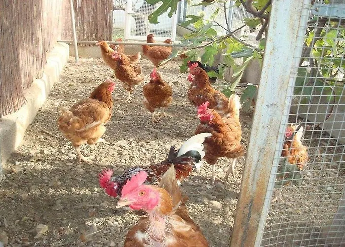 Cortijo El Llano Almería